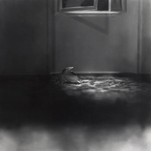 Stanza #2, 2003-2005