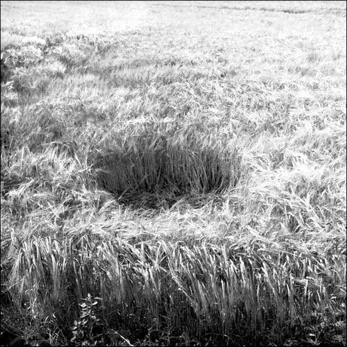 Rifugio #2, 2007