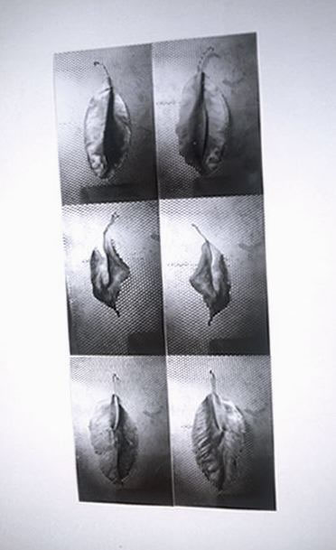 Senza titolo, 1999