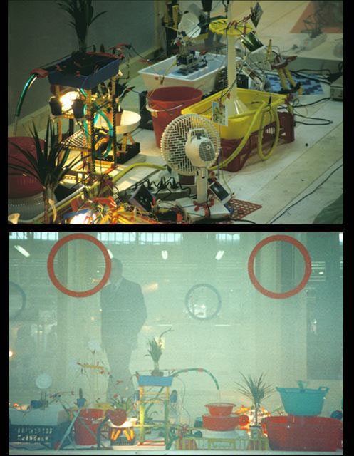 T.O.I.B., 2003