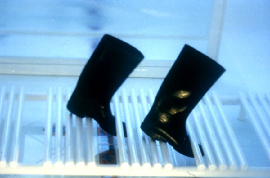 Senza titolo, 1999