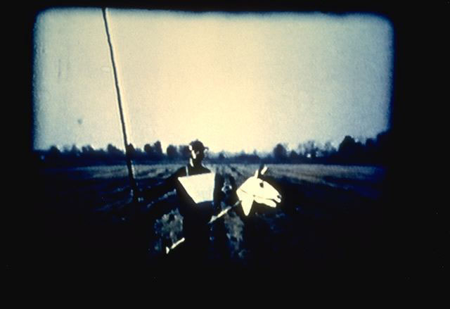 Don Chisciotte, 1994