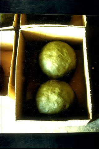 I mondi in scatola, 1990