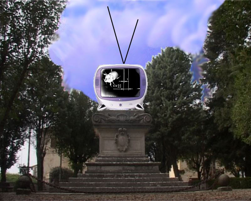 Tvision, 2005