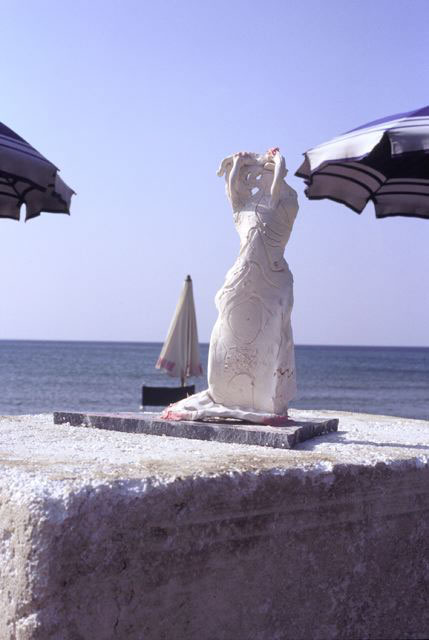 Strega, 1996