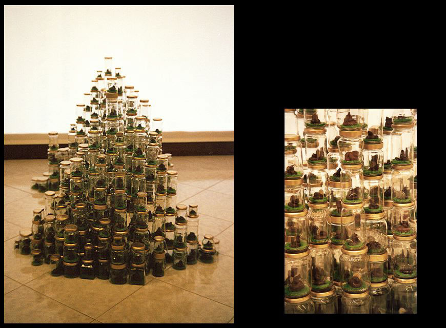 Globalizzazione, 2001