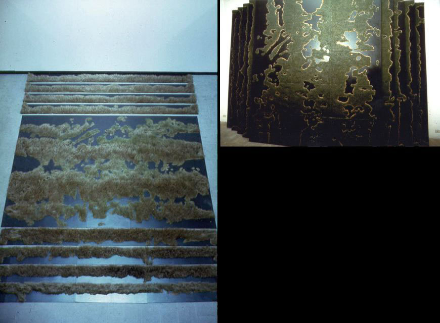 Erba Ponte Sant’Eufemia, 1990