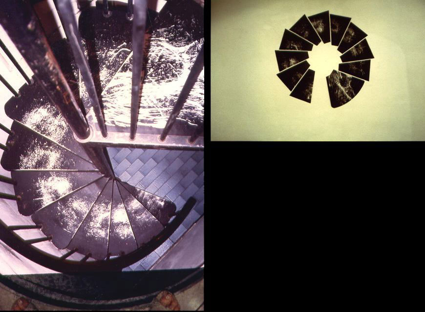 Scala vitamina’s, 1993