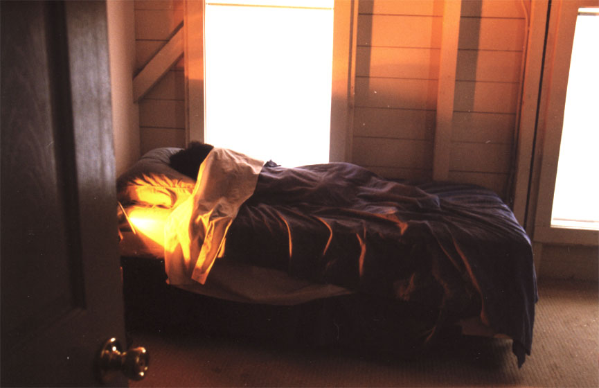 Illegal Practices (Dormiente), 2001