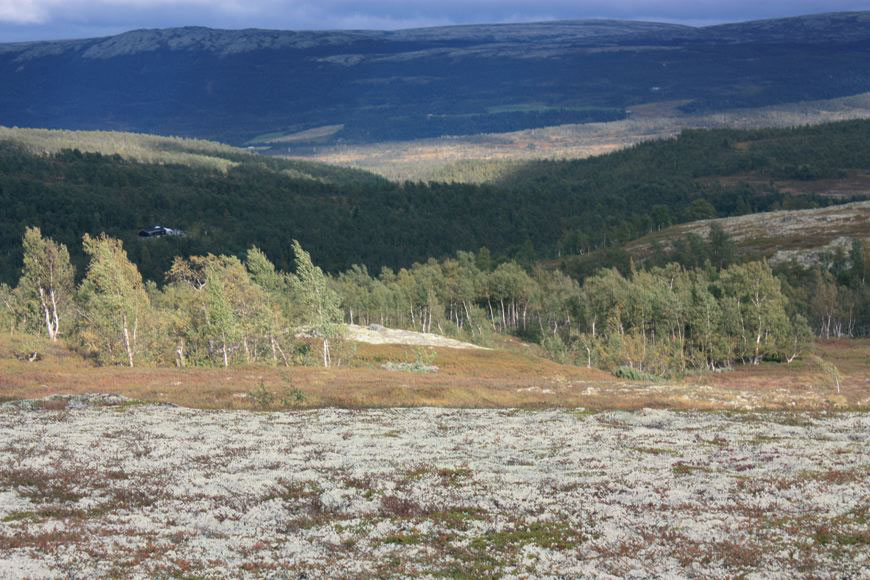 Valle di Hessdalen, 2009