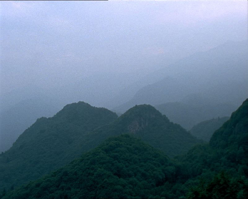 Estatico eppure naturale, 2001