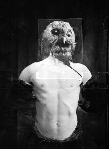 Cum avibus, 1997