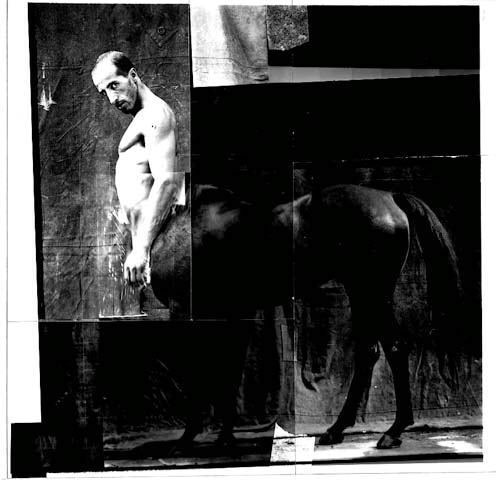 Metamorfosi 3 (Centauro), 1994