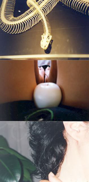 To surrender, 2001-2007