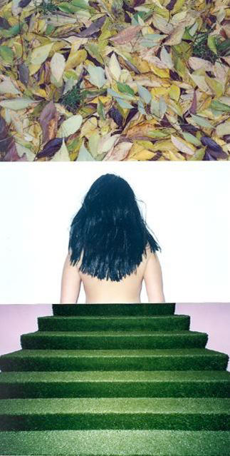 Tensegrità, 2005