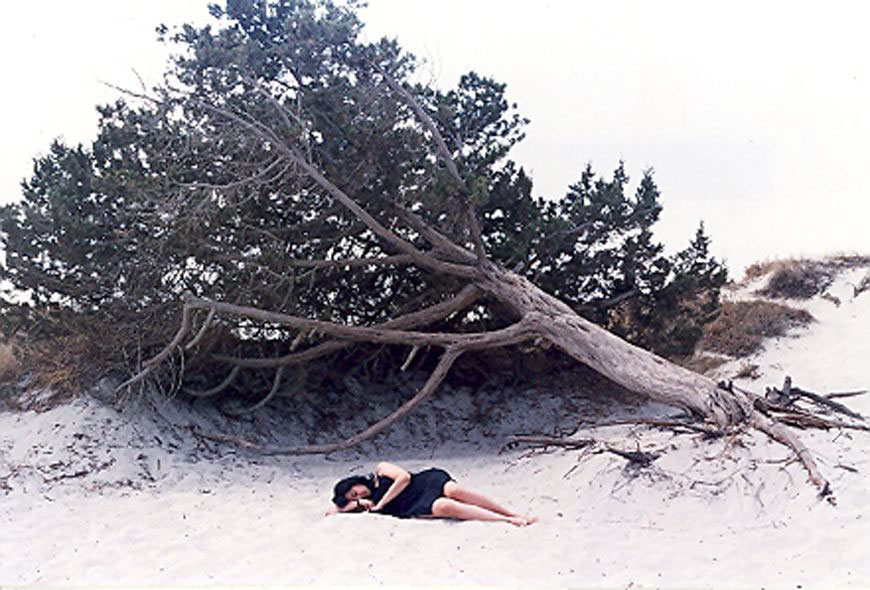 Dream, 2005