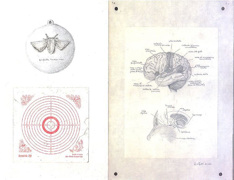 Bioessay, 2006