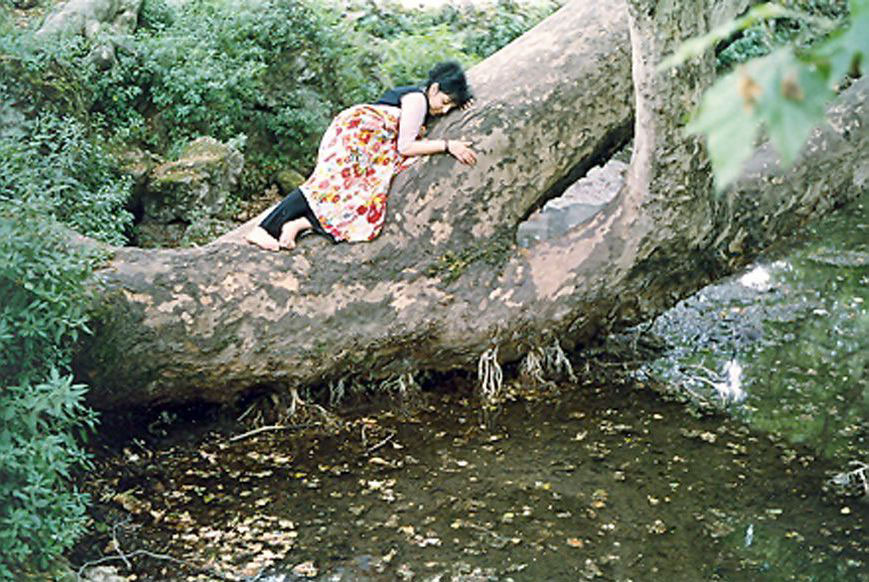 Happy pastime, 2006