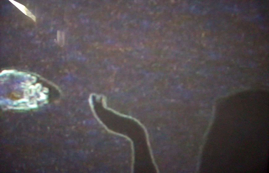 Would you like to dance with me, 2007