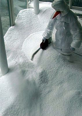 Der Schneemann, 2001