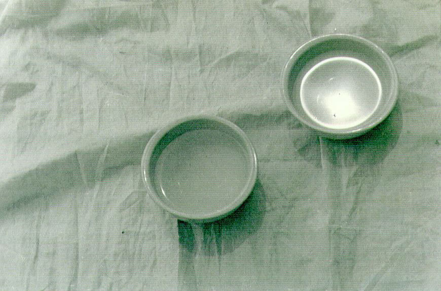 Trappola per sole, 1994
