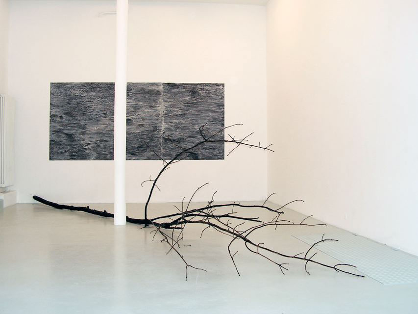 Nero di bosco, 2005