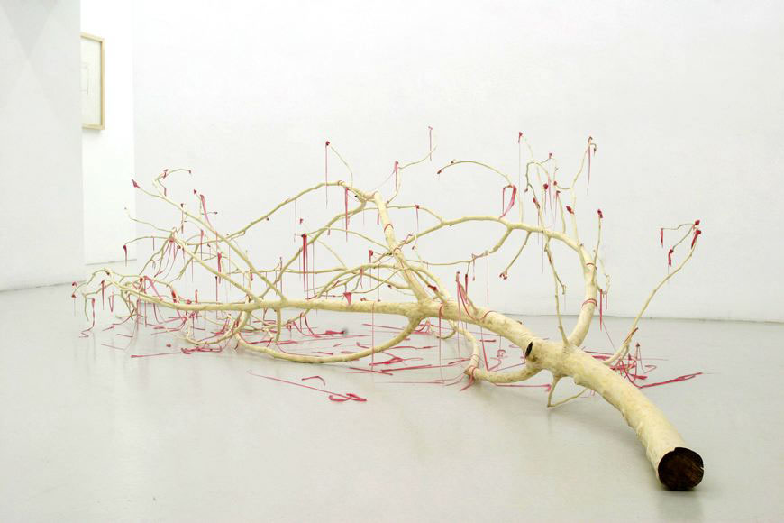 A naked tree, 2006