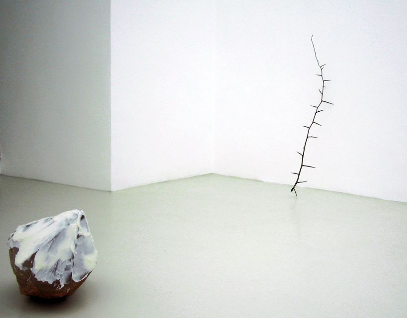 A naked tree and some other works…, 2006