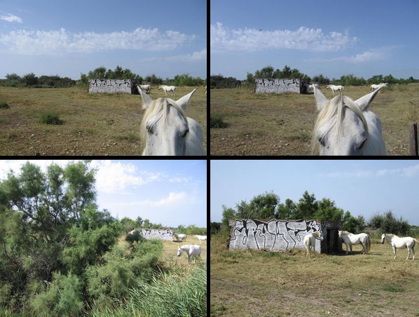 Rume 42, 2005