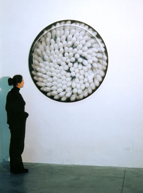 Fiocchi di cotone (effetti personali), 2002