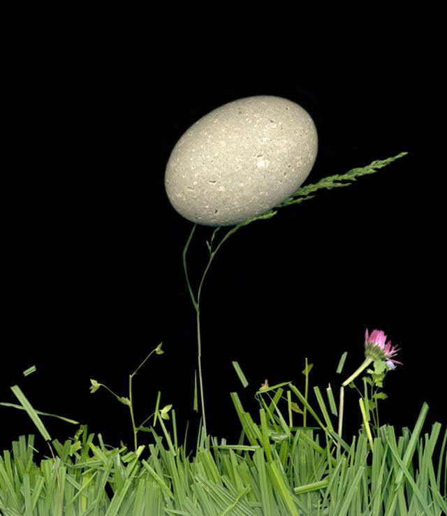 Senza titolo (Zolla), 2006