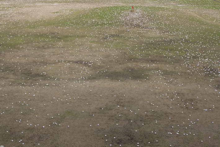 Dual landscape, 2010
