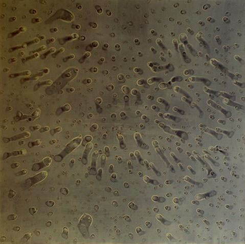Water. Orange. A, 1994