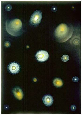 Dropper. Orange & White. 1, 1995