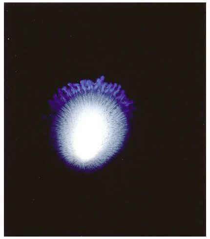 Blue. Black. 3, 1996