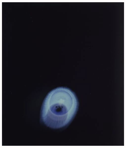 Inner Work. 2, 1999
