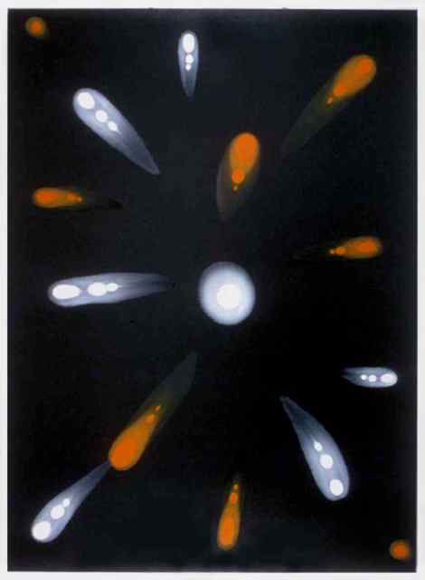 The place we are destined to return. 2, 1999