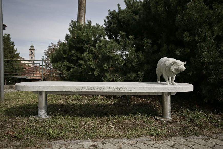 Il cane qui ritratto appartiene a una delle famiglie di Trivero. Quest’opera è dedicata a loro e alle persone che sedendosi qui ne parleranno, 2009