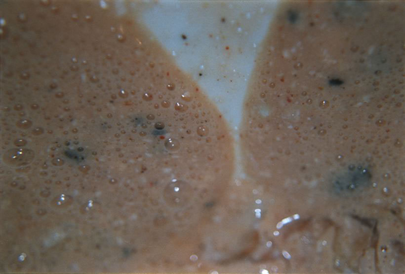 Autoritratto n. 7, 1999