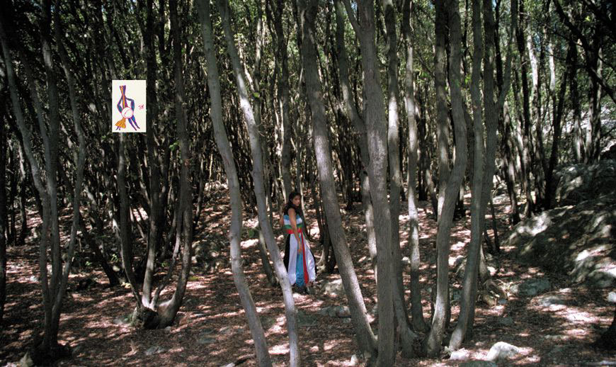Senza titolo (Blue White Green Red and Black), 2004