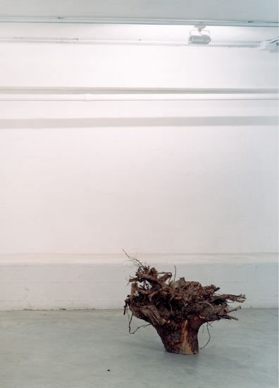 Vetro, 2000