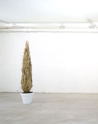 Specchio, 2001