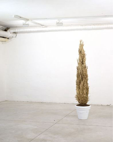 Vetro , 2001