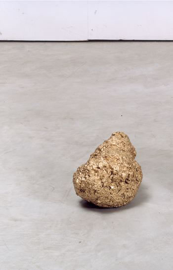 Microcosmo, 2001
