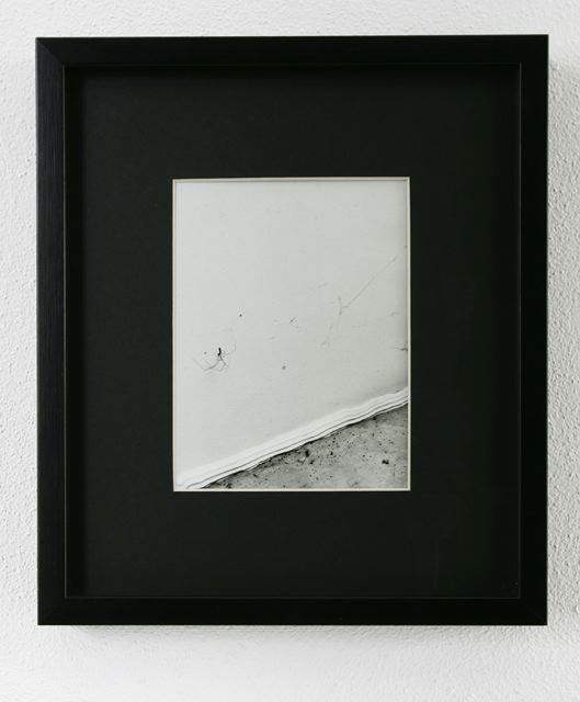 Sette, 2004