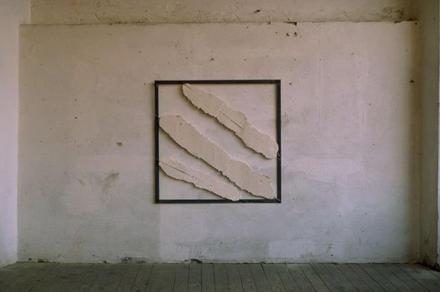 Pois, 1994