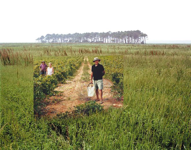Il muro del suono #6, 2005-2006