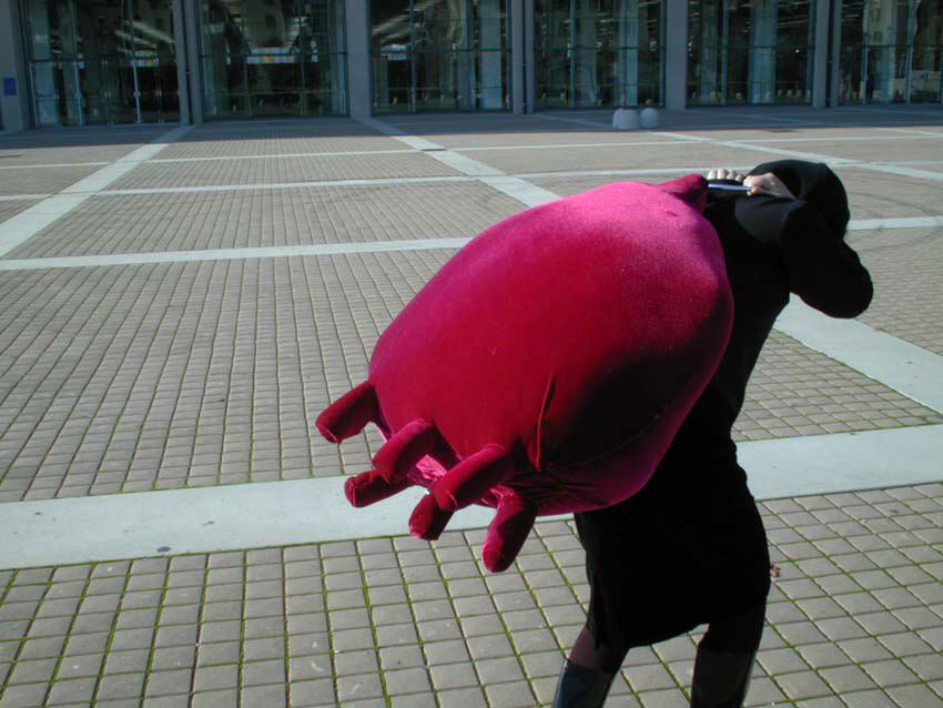 Formamentis, 2000