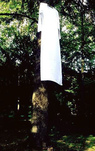 Sindrome di Alice, 1994