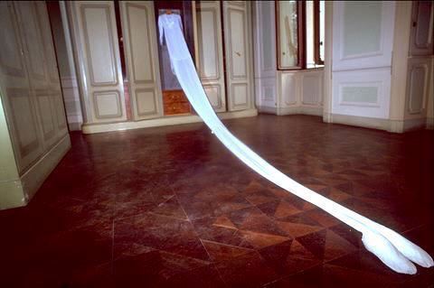 Psiche, 1994